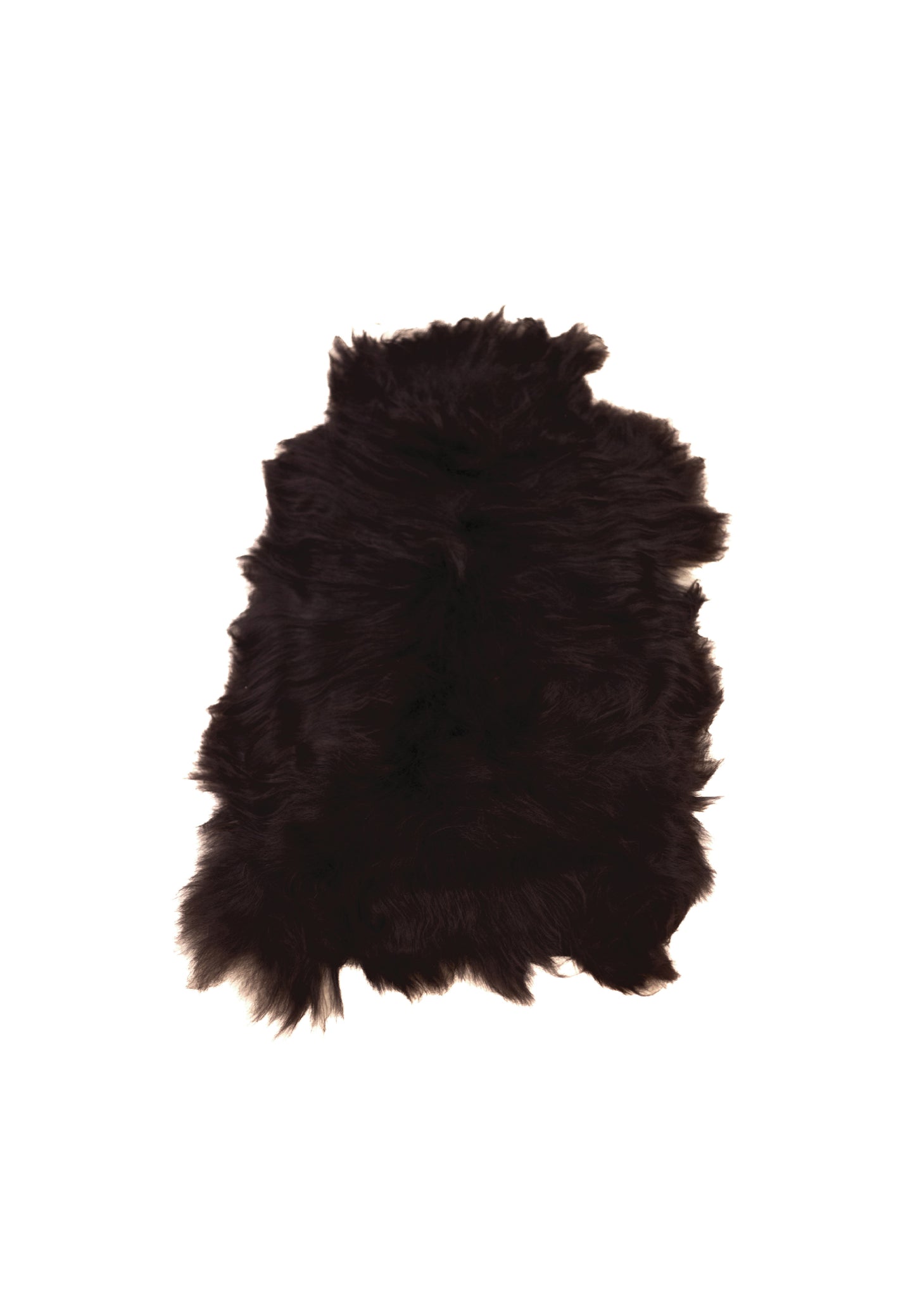 Spoiled Life - XL Large Black Icelandic Sheepskin